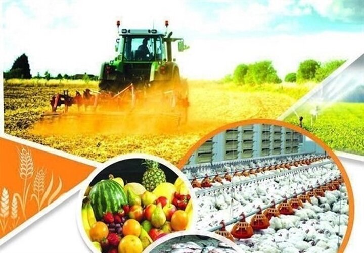 خرید توافقی بیش از  ۱۱۲هزار تن انواع محصول از کشاورزان استان همدان