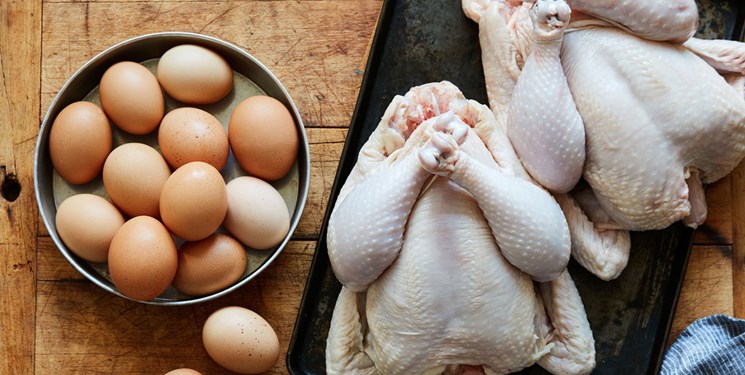 تولید روزانه ۵۴ تن تخم مرغ در همدان/ اعلام قیمت مرغ و تخم مرغ