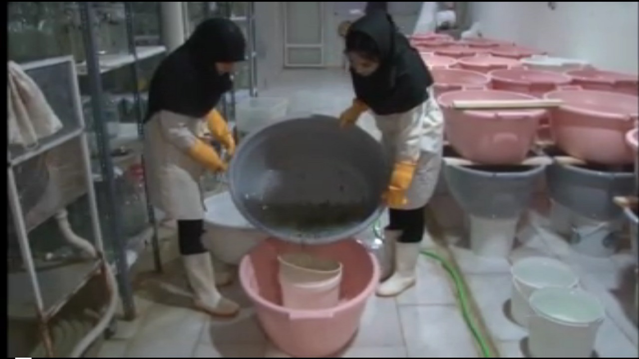 فعالیت ۳ واحد پرورش زالو در استان همدان