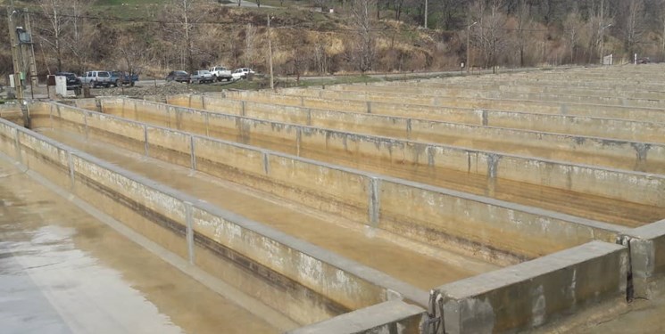 تعطیلی نیمی از مزارع پرورش ماهی نهاوند به دلیل کم آبی