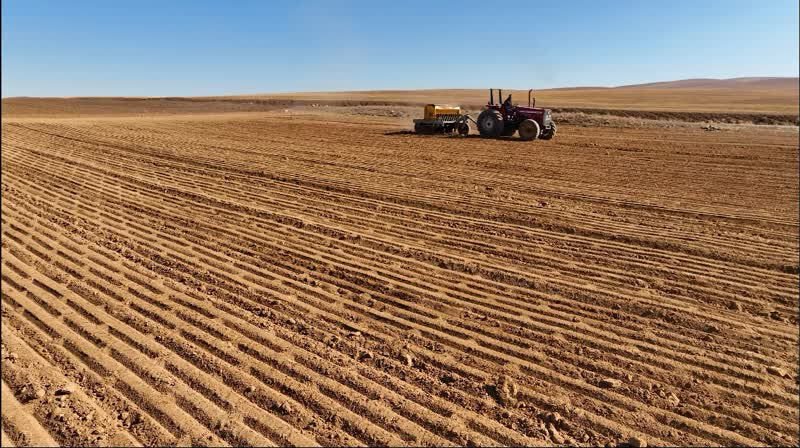 ساخت ماشین کشت حوضچه ای به همت بخش خصوصی در استان همدان